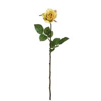 Duftrose, gul 70 cm